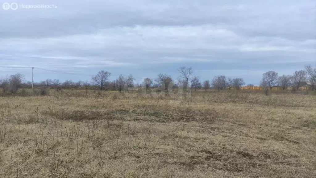 Участок в деревня Кайбалы, Казанская улица (12 м) - Фото 2