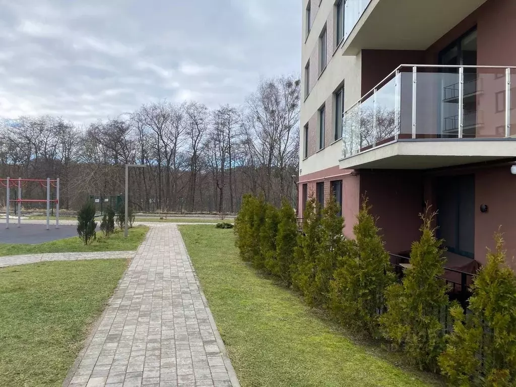 2-к кв. Калининградская область, Светлогорск Ольховая ул. (54.0 м) - Фото 2