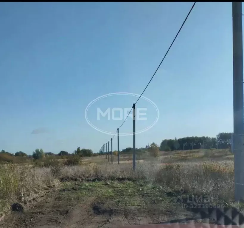 Участок в Калининградская область, Гурьевский муниципальный округ, ... - Фото 1