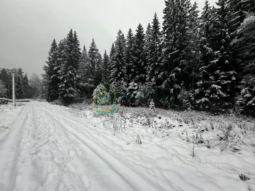 Участок в Ленинградская область, Всеволожский район, Агалатовское ... - Фото 1