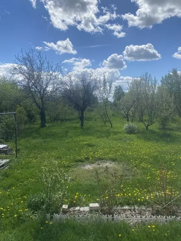 Дом в Рязанская область, Сасовский муниципальный округ, с. Пичкиряево  ... - Фото 2