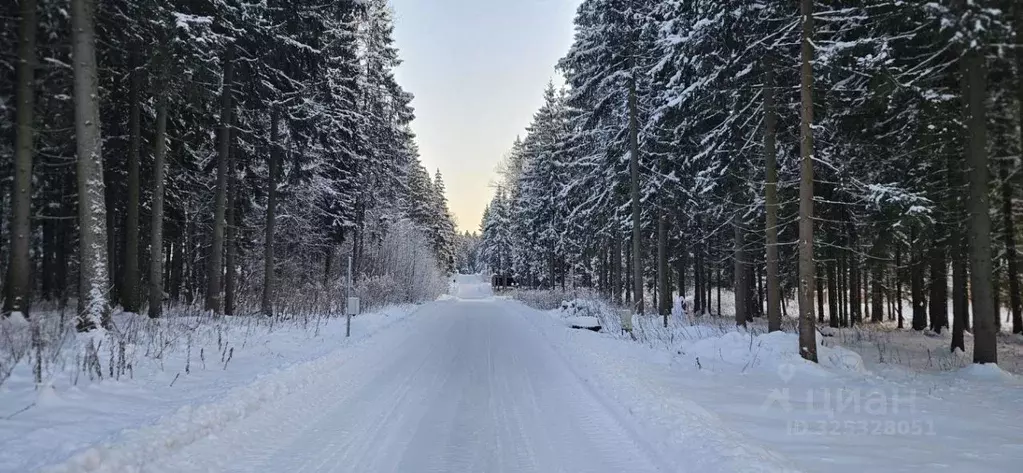 Участок в Московская область, Дмитровский муниципальный округ, Аква ... - Фото 1