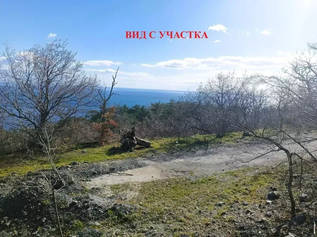 Участок в Крым, Ялта муниципальный округ, пос. Линейное ш. ... - Фото 1