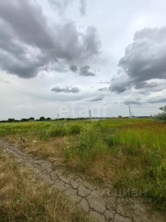 Участок в Ростовская область, Азовский район, Кулешовское с/пос, ... - Фото 1