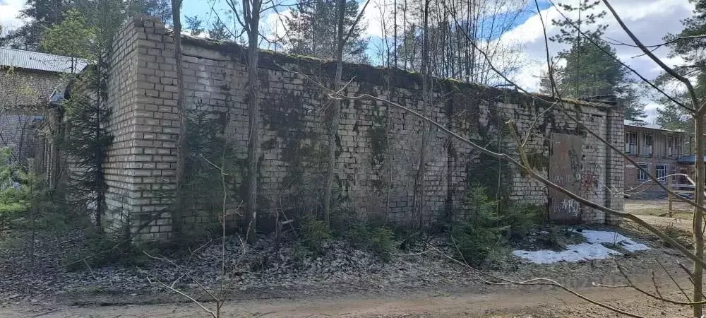 Помещение свободного назначения в Вологодская область, Кадуйский ... - Фото 2