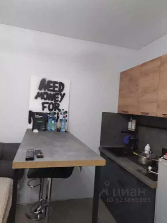 Студия Нижегородская область, Нижний Новгород бул. Южный, 21 (19.0 м) - Фото 2