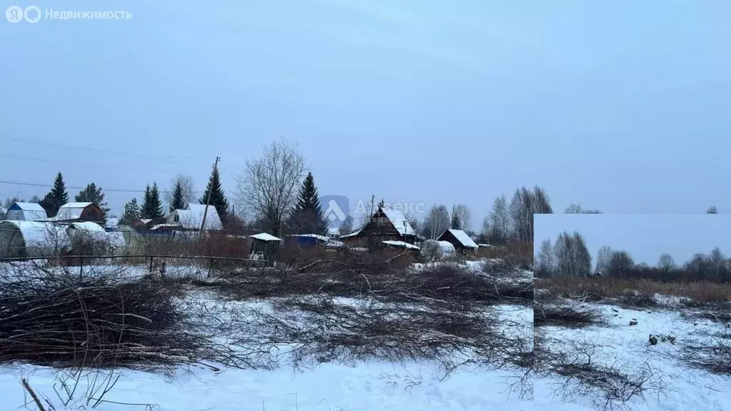 Участок в Нижнетавдинский район, товарищество собственников ... - Фото 1