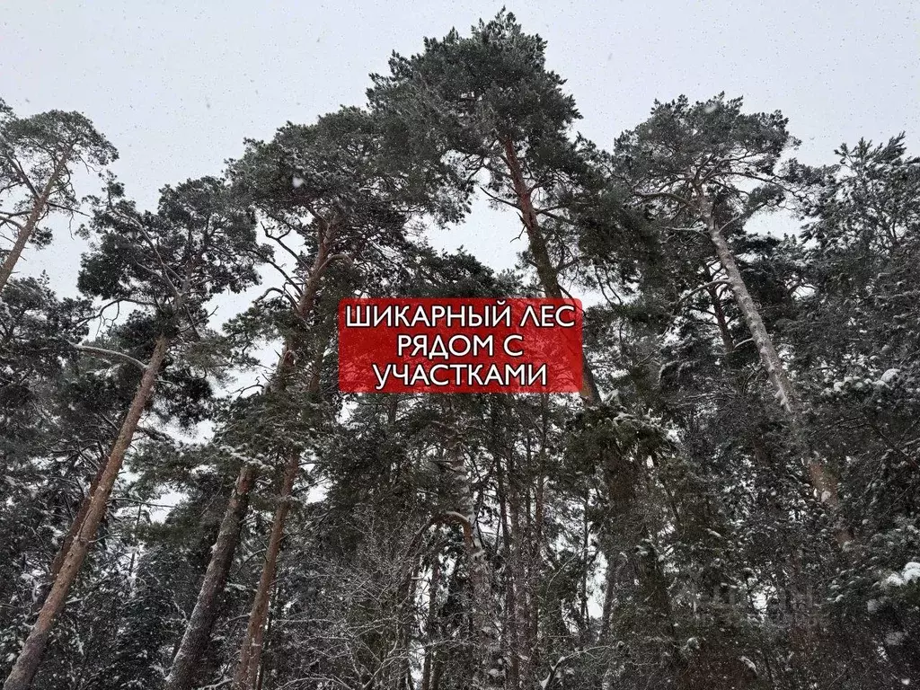 Участок, 10 сот., поселения (ижс) - Фото 1