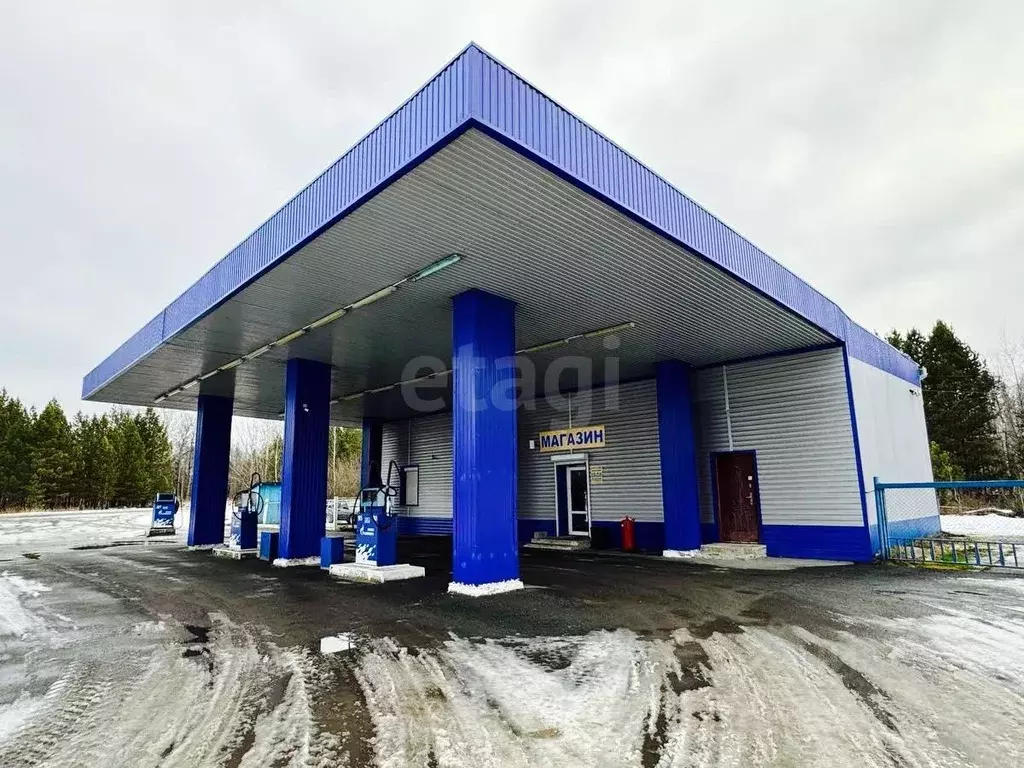 Склад в Свердловская область, Тугулымский муниципальный округ, д. ... - Фото 1