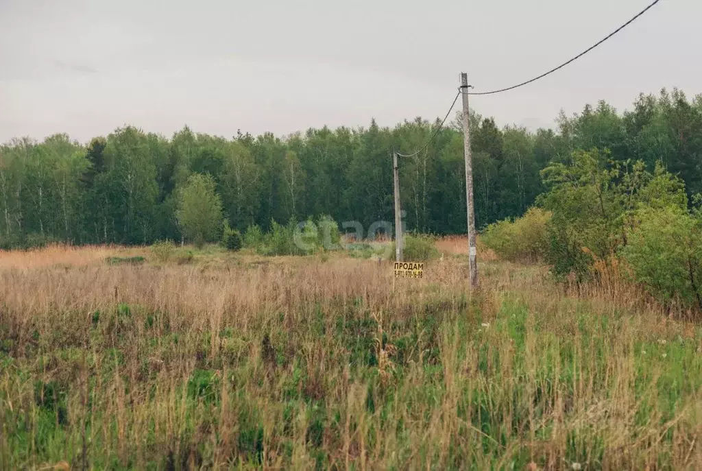 Участок в Тюменская область, Тюменский муниципальный округ, с. Кулига  ... - Фото 1