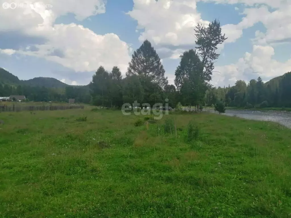 Участок в Турочакский район, село Верх-Бийск (12 м) - Фото 0