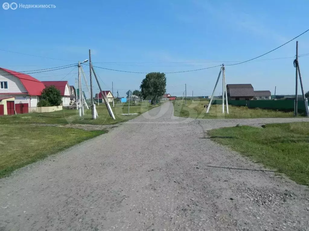 Участок в Тюменская область, Упоровский муниципальный округ, село ... - Фото 2