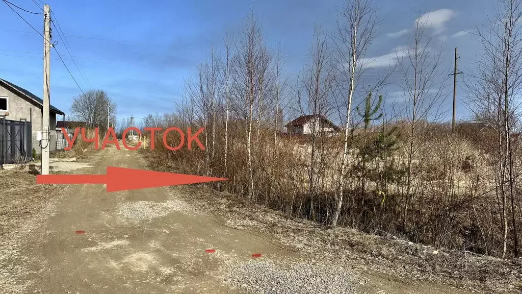 Участок в Ленинградская область, Ломоносовский район, Пениковское ... - Фото 1