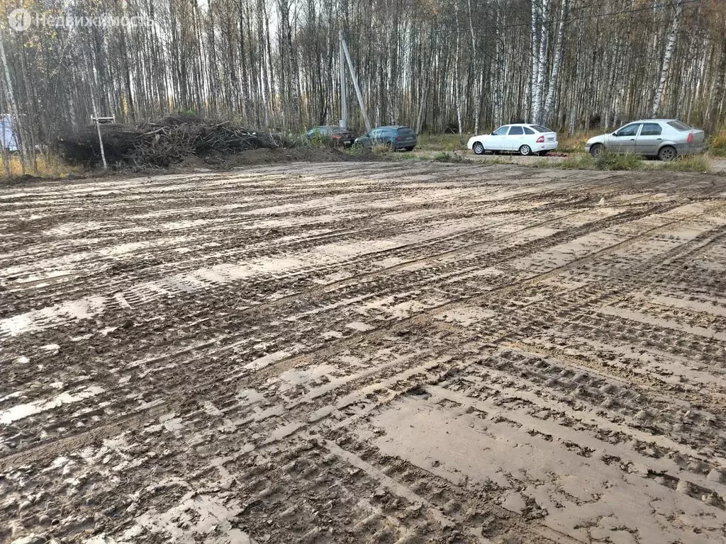 Ивняковское сельское поселение ярославского. КП В Переславле Залесском. Деревня Василисино Переславский. Матреновское болото Переславский район.