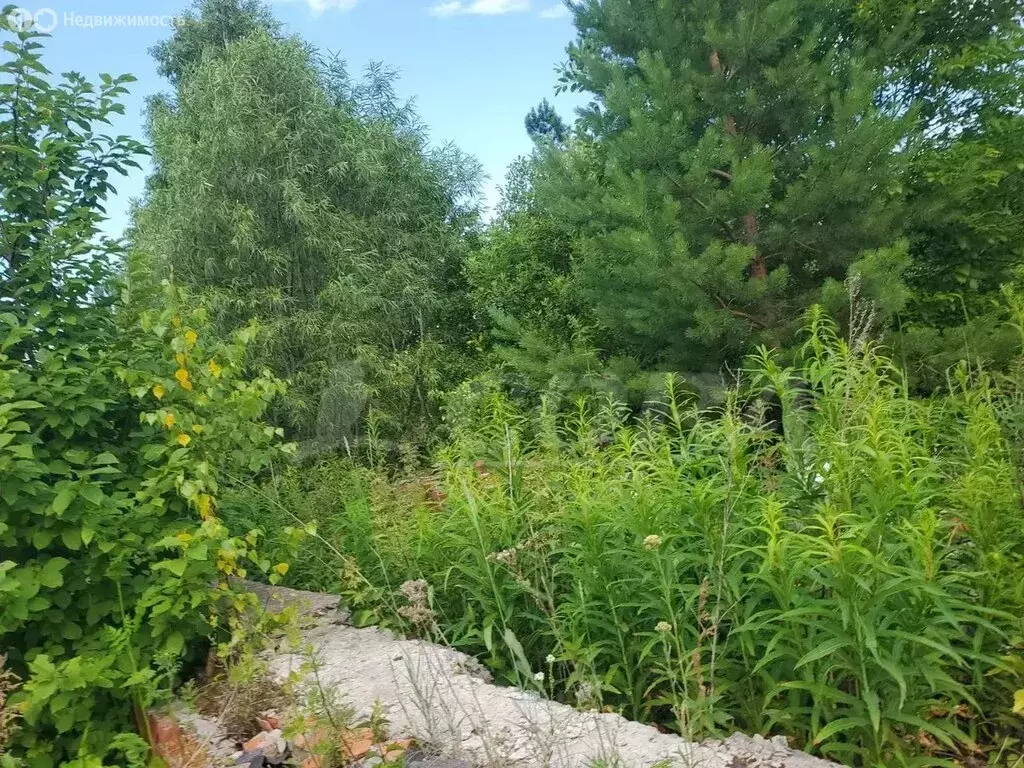 Дом в Нижнетавдинский район, деревня Штакульская (15 м) - Фото 0