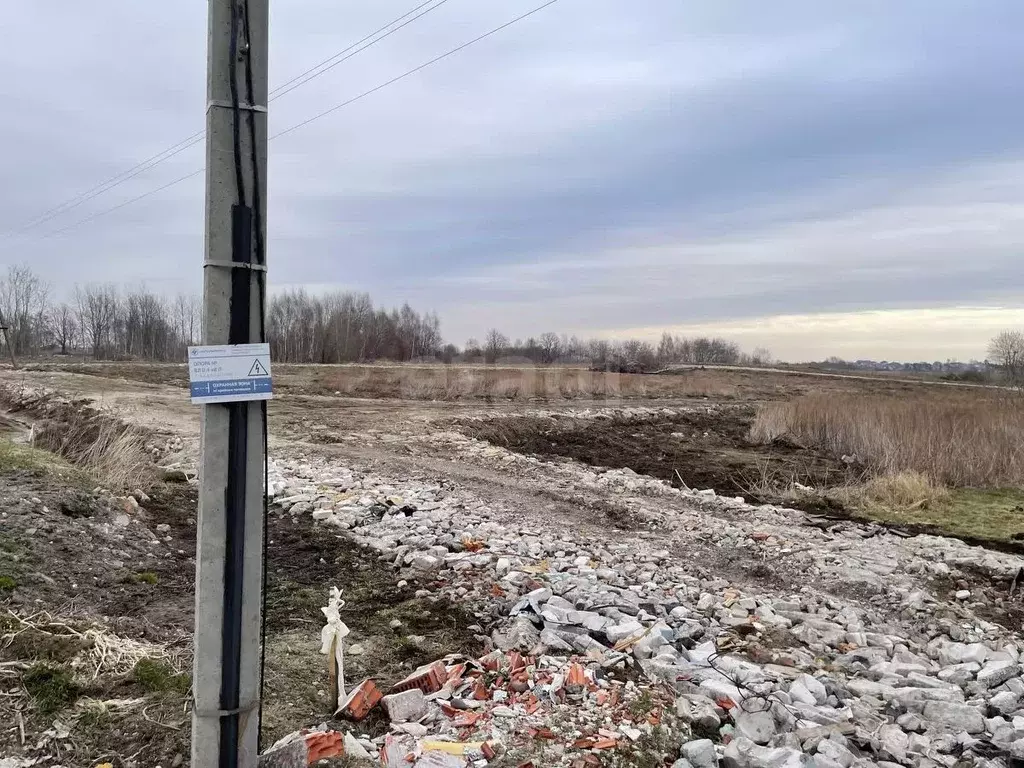 Участок в Калининградская область, Гурьевский муниципальный округ, ... - Фото 1