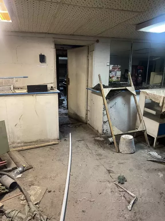 Помещение свободного назначения в Санкт-Петербург Каменноостровский ... - Фото 2