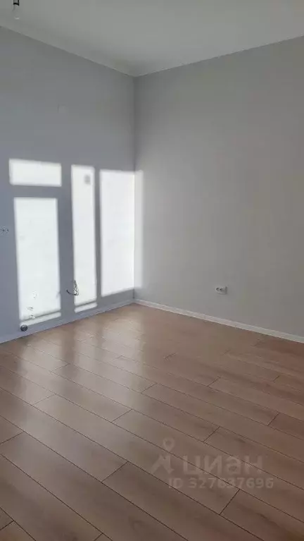 Студия Ленинградская область, Всеволожский район, Заневское городское ... - Фото 2