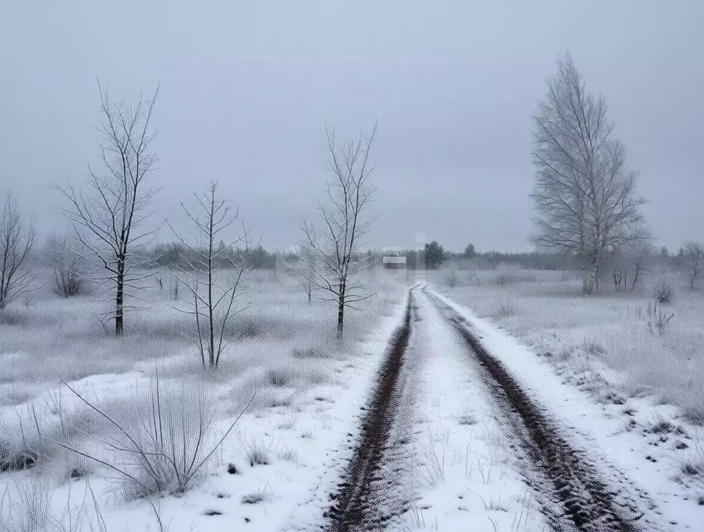 Участок в Воронежская область, Верхнехавский район, с. Углянец ул. ... - Фото 2