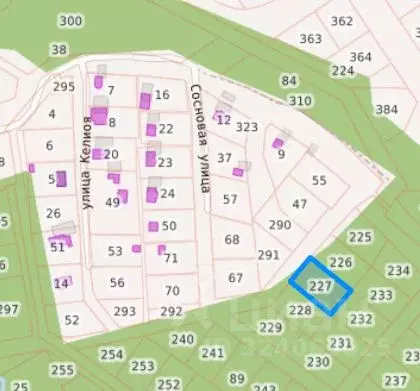 Участок в Карелия, Питкяранта пер. Березовый, 23 (15.0 сот.) - Фото 2