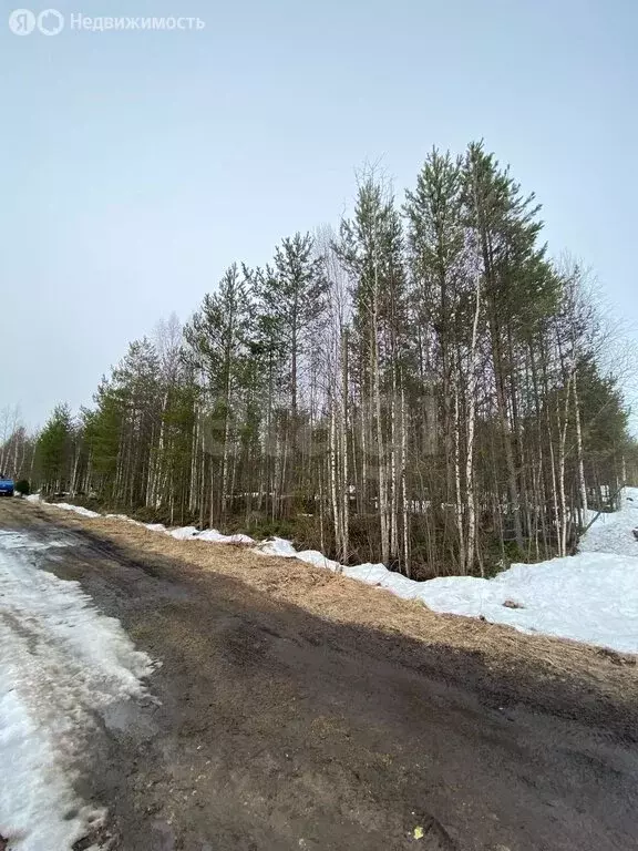 Участок в Архангельская область, Приморский муниципальный округ, СНТ ... - Фото 1