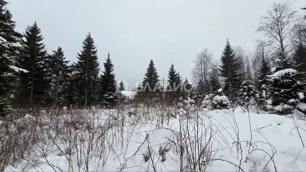 Участок в Ленинградская область, Всеволожский район, Агалатовское ... - Фото 1