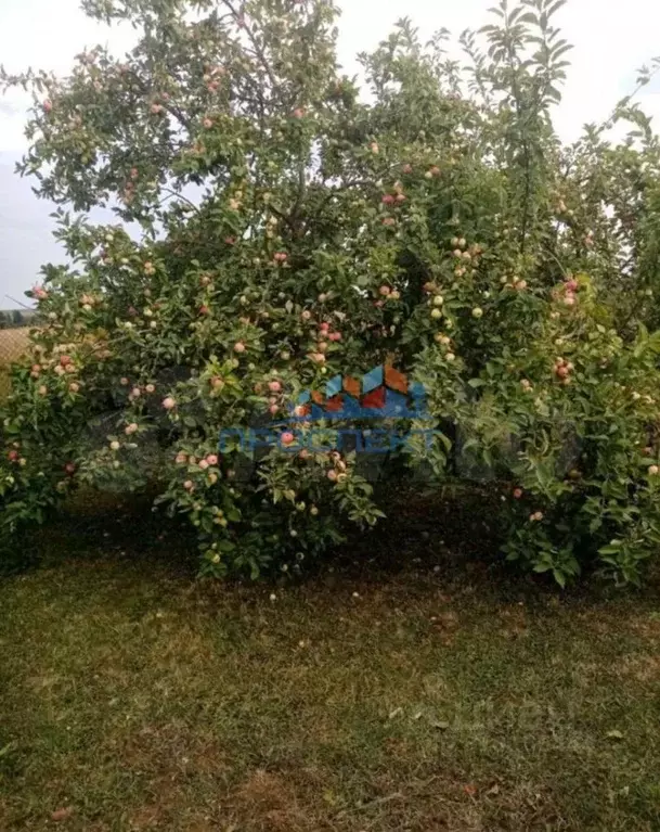 Дом в Московская область, Кашира городской округ, д. Богатищево ул. ... - Фото 1