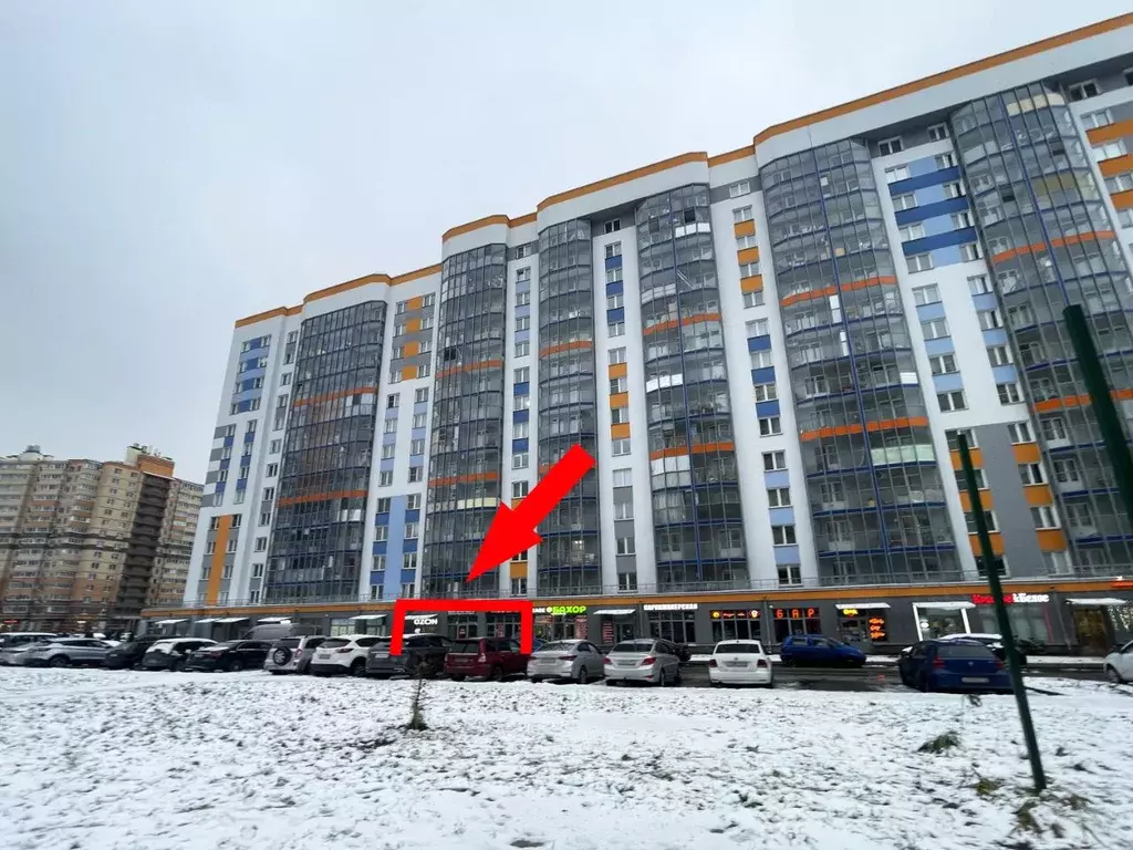 Помещение свободного назначения в Ленинградская область, Мурино ... - Фото 2