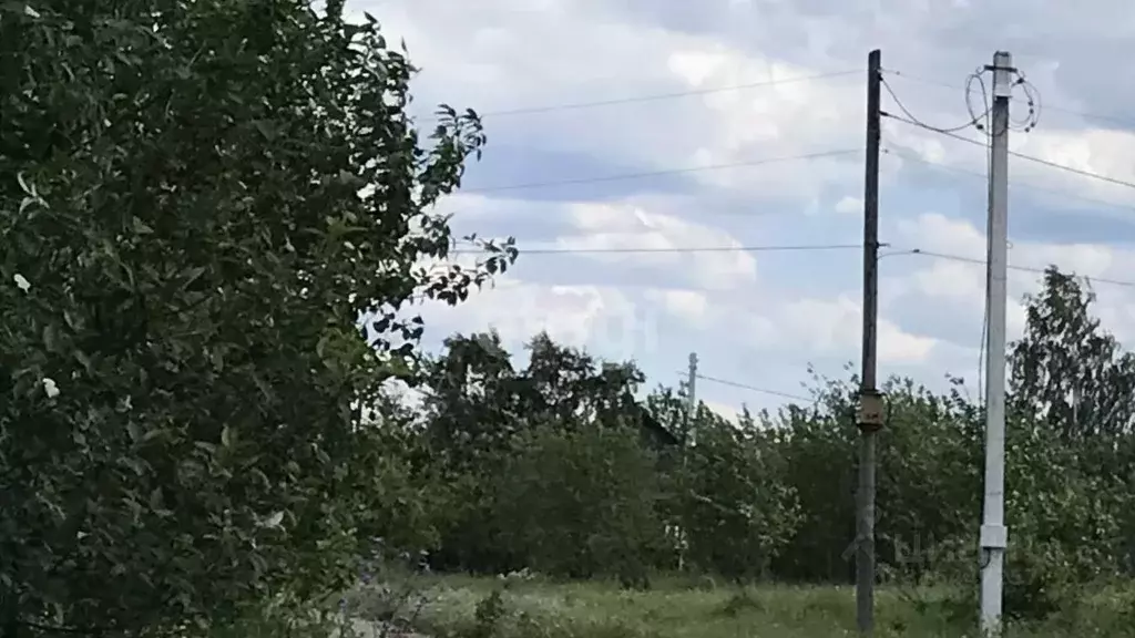 Участок в Свердловская область, Нижний Тагил ул. Академика Павлова ... - Фото 0