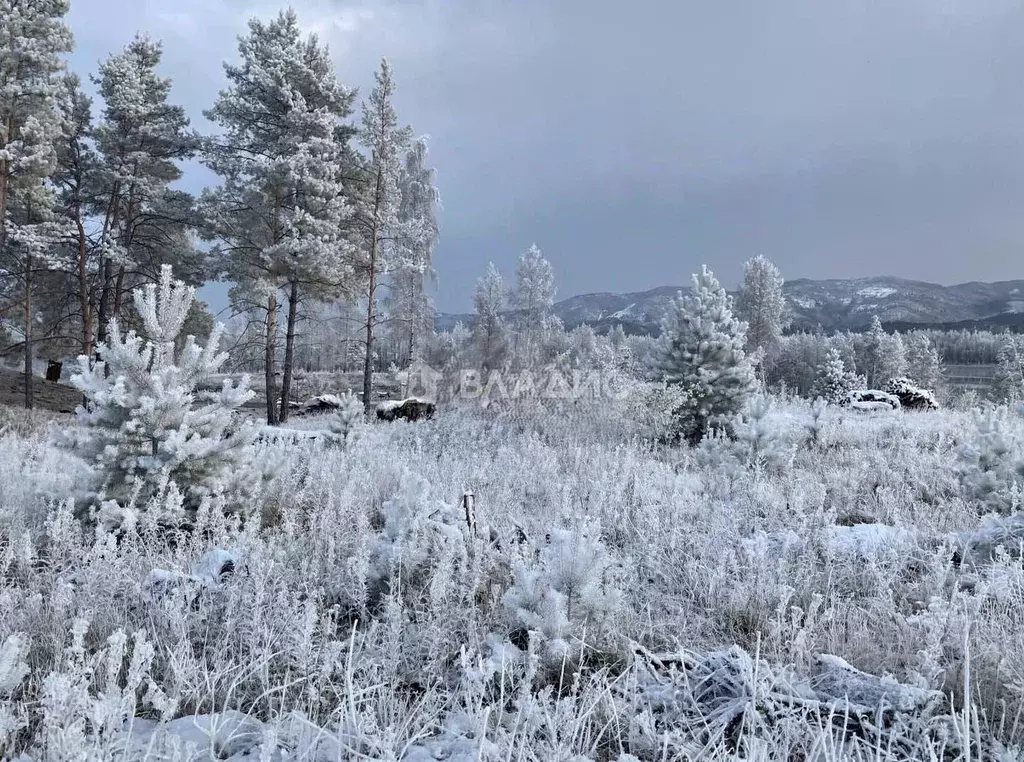 Участок в Бурятия, Улан-Удэ Октябрьское ДНТ, ул. Петербужская, 135 ... - Фото 2