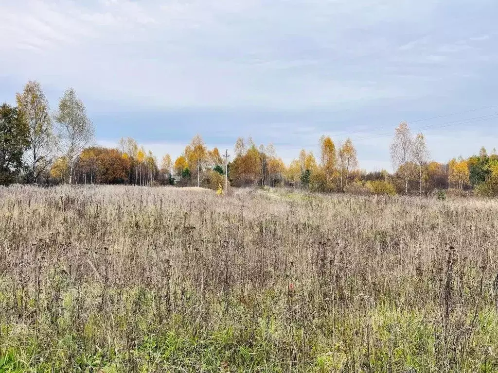 Участок в Костромская область, Костромской район, Середняковское ... - Фото 1