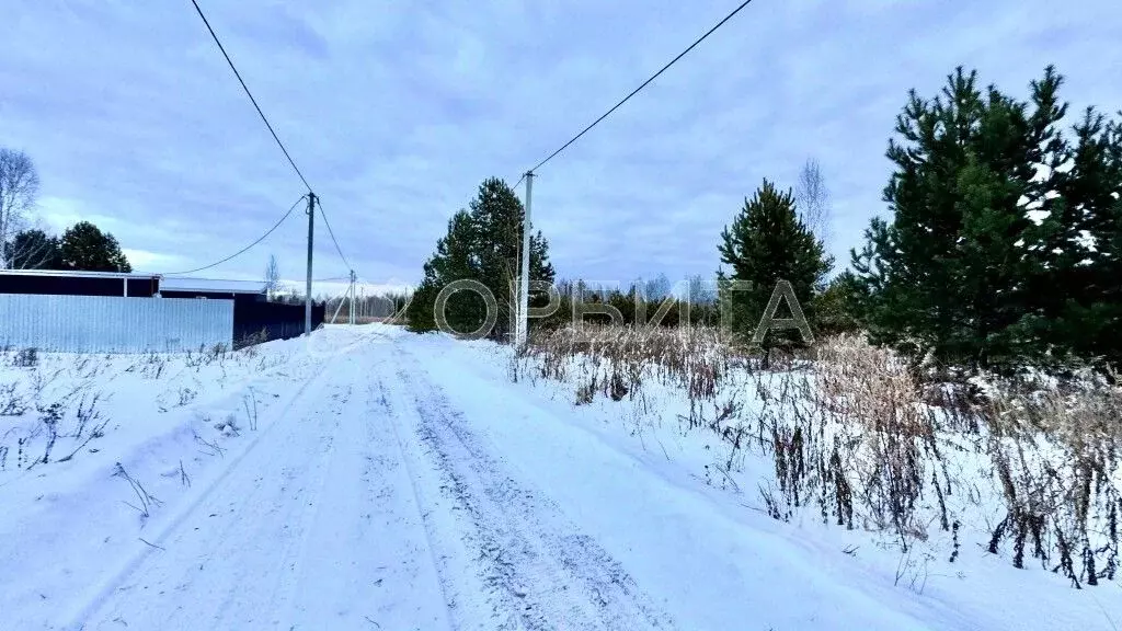 Участок в Тюменская область, Тюменский район, Янтарное ДНТ ул. ... - Фото 1