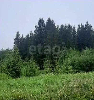 Участок в Тюменская область, Тюменский район, с. Горьковка  (5.53 ... - Фото 1
