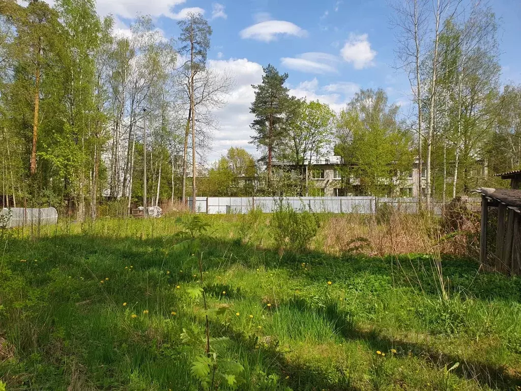 Участок в Ленинградская область, Гатчинский район, Вырица городской ... - Фото 1