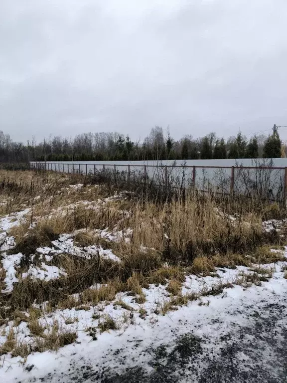 Участок в Московская область, Раменский муниципальный округ, Бахтеево ... - Фото 2