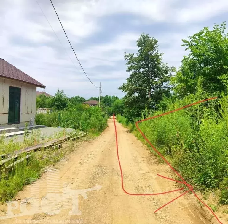 участок в приморский край, артем родник-1 снт, ул. гагарина (10.0 . - Фото 0