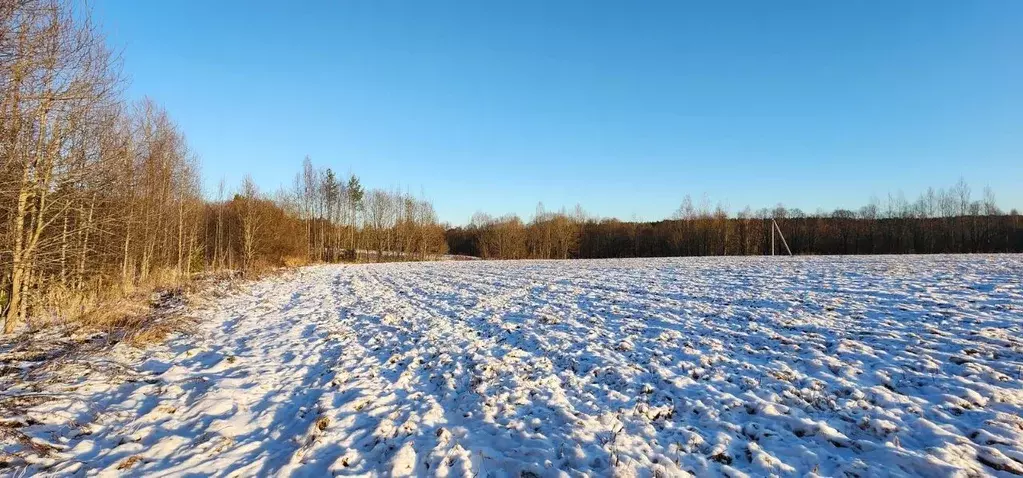 Участок в Ленинградская область, Выборгский район, Рощинское городское ... - Фото 0