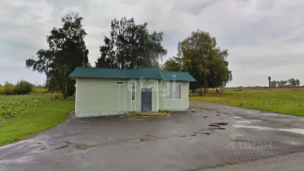 Офис в Белгородская область, Борисовский район, с. Березовка Колхозная ... - Фото 1