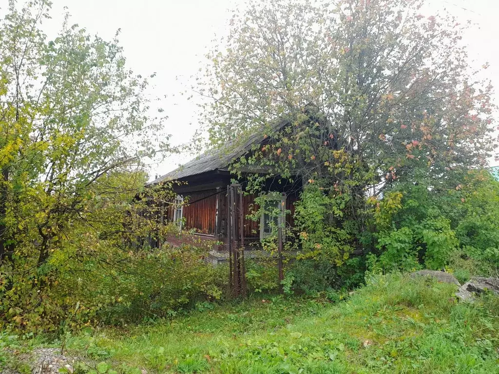Дом в Пермский край, Лысьва ул. Дзержинского, 25 (26 м) - Фото 0