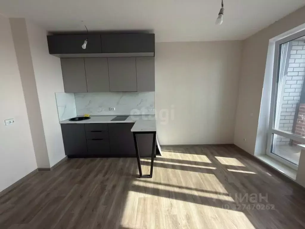 Студия Воронежская область, Воронеж ул. Саврасова, 86 (23.4 м) - Фото 1