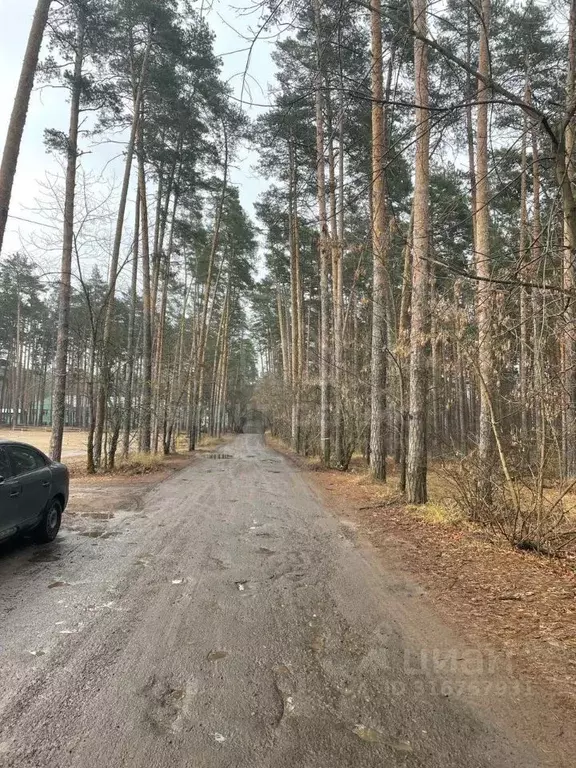 Участок в Тамбовская область, Тамбовский муниципальный округ, ... - Фото 1