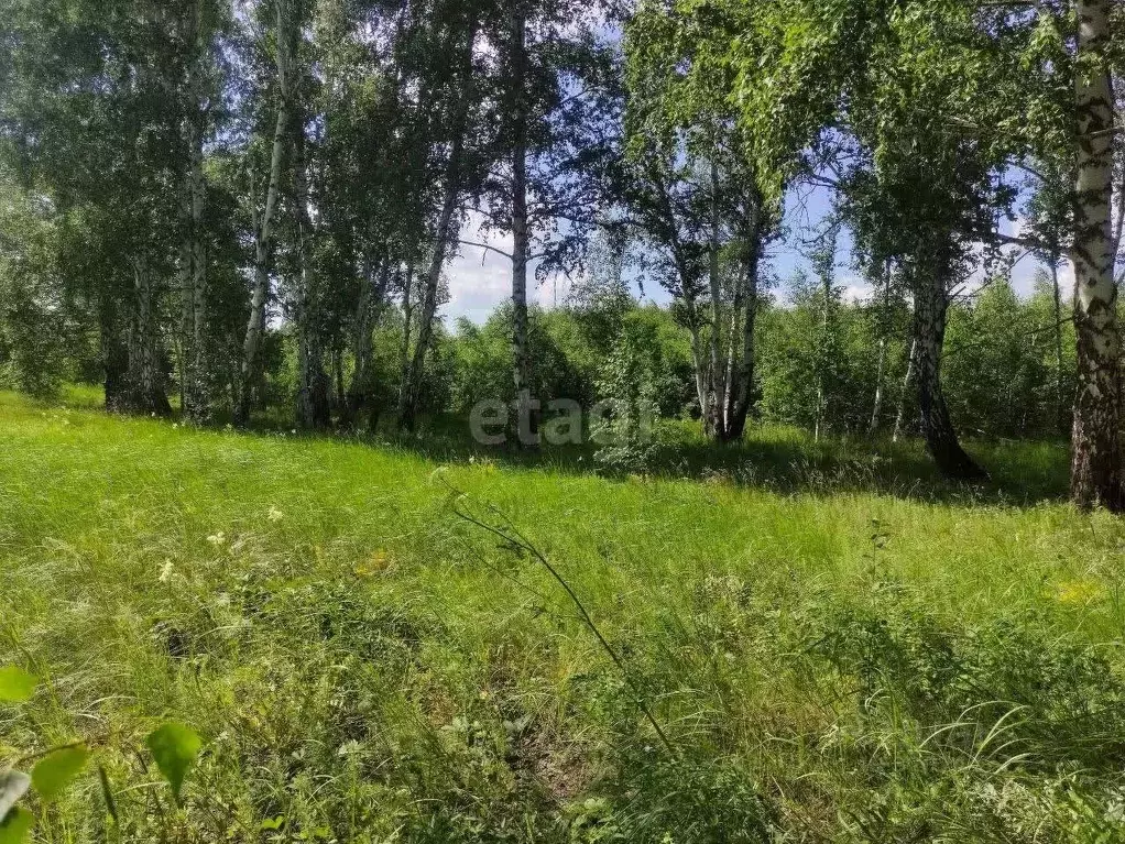 Участок в Челябинская область, Сосновский муниципальный округ, д. ... - Фото 1