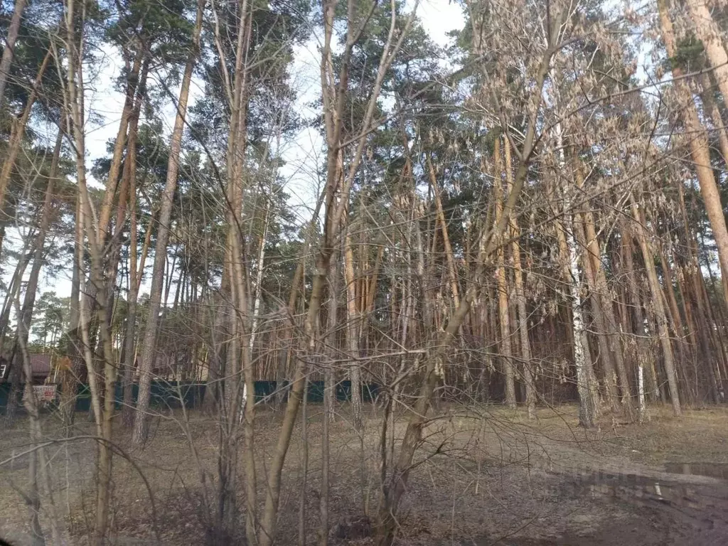 Участок в Тамбовская область, Тамбов ул. имени Маршала Малиновского ... - Фото 1