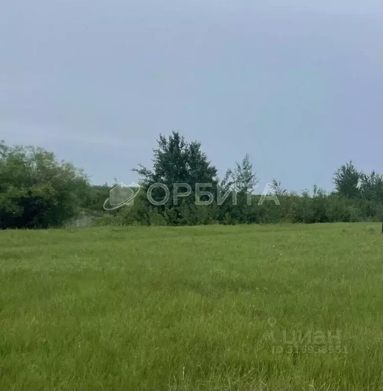 Участок, 270 сот., 0 - Фото 1