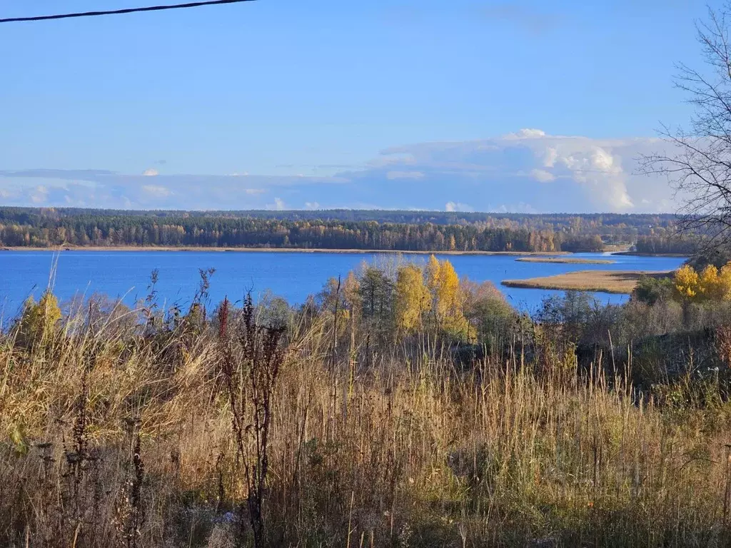 Участок в Ленинградская область, Приозерский район, Петровское с/пос  ... - Фото 1