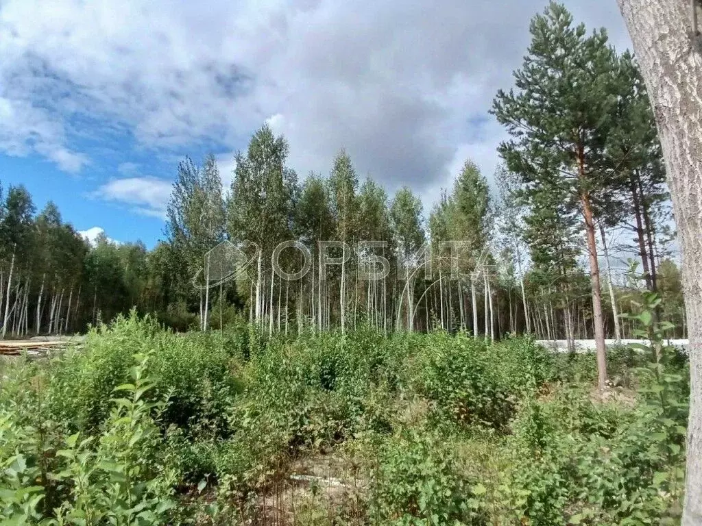 Участок в Тюменская область, Тюмень Медик СНТ, ул. Сливовая (6.9 сот.) - Фото 2