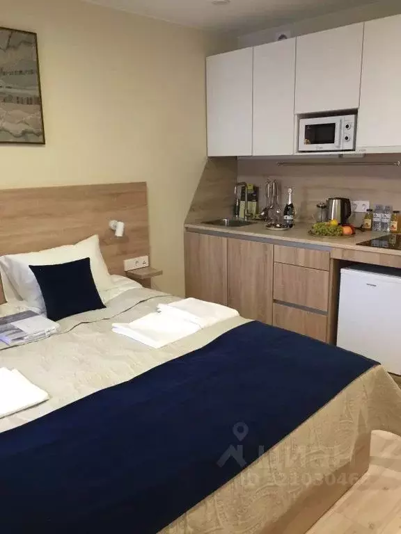 Комната Санкт-Петербург ул. Матроса Железняка, 2 - Фото 1