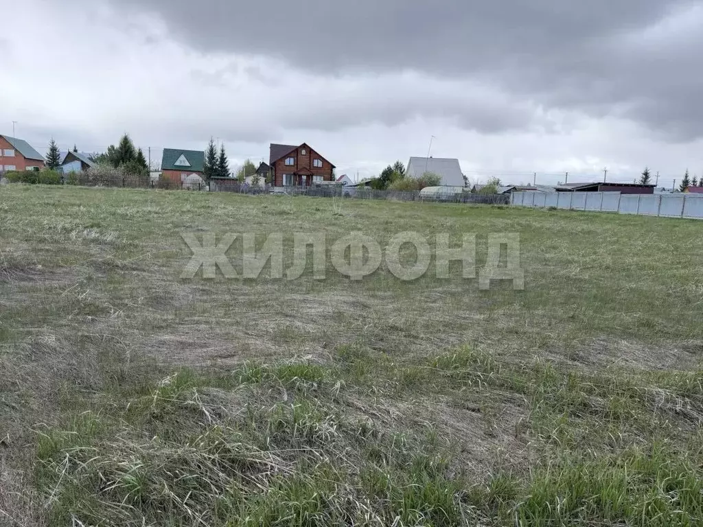 Участок в Новосибирская область, Ордынский район, с. Новопичугово ул. ... - Фото 1