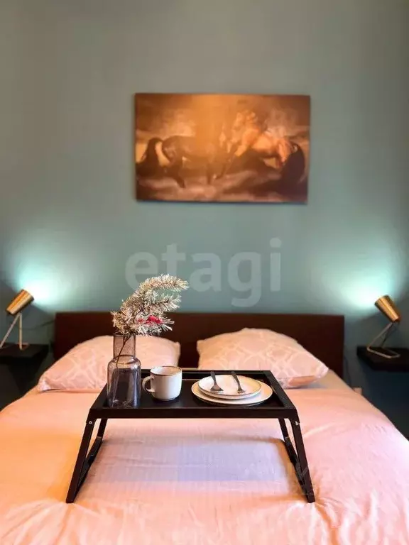 Студия Санкт-Петербург дор. Торфяная, 15к3 (27.0 м) - Фото 1