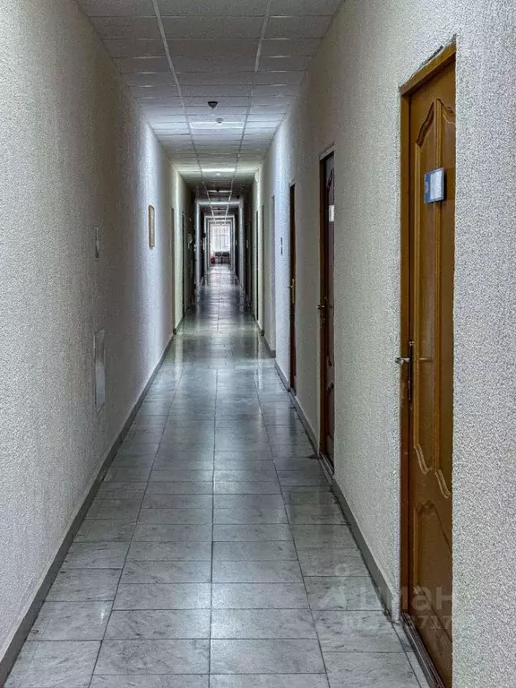 Офис в Липецкая область, Липецк ул. Желябова, 2 (700 м) - Фото 2